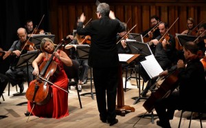 orquesta de cámara 2