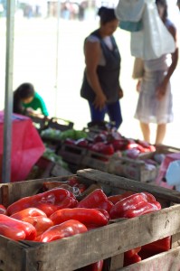 12747457_1166790846665629_7627091271912082928_o