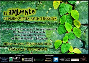 el ambiente
