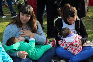 13613468_1666622393663772_3752893044948871096_o