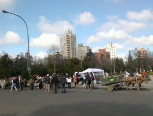 CARTONEROS