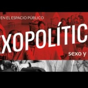 «Todo lo que rodea a la sexualidad es político»