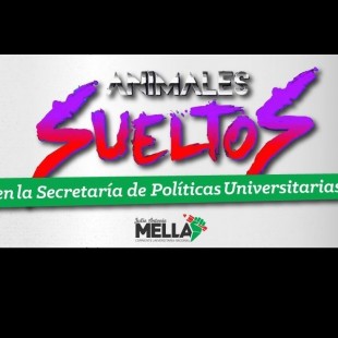 “Incluso los aliados del Cambiemos criticaron esta designación”