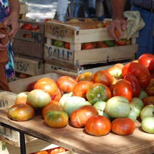 Pequeños productores denuncian estar viviendo la crisis más profunda de la historia