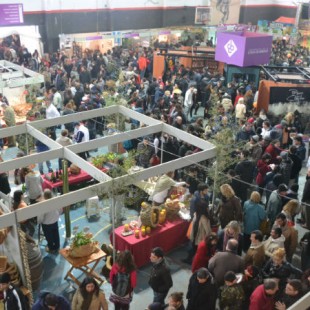 «El lema que tenemos en la facultad es que hay fiesta porque hay vino”