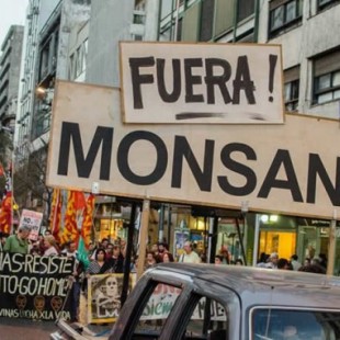 «Es una ley que avanza en la privatización de las semillas favoreciendo a las empresas del agronegocio»