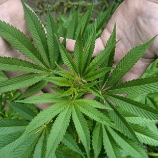 «Entendimos al momento de redactar la declaración que el debate fue progresando y que las demandas son otras»