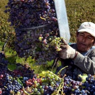 «Las economías regionales, cuando cierran, es muy difícil que vuelvan»