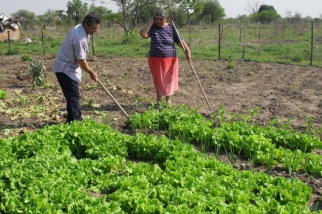 «La agricultura familiar produce la mayoría de los alimentos y entendemos que es un actor clave»