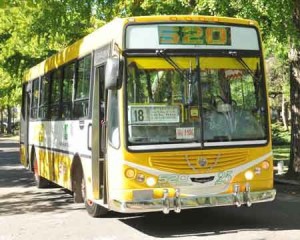 linea-520