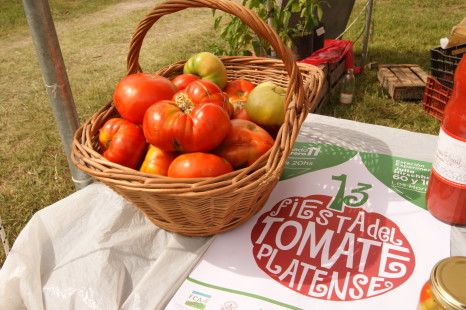 Se realizó la Fiesta del Tomate Platense