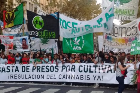 «Basta de presos por cultivar»