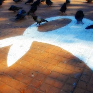 «Está ocurriendo una salida masiva de los genocidas»