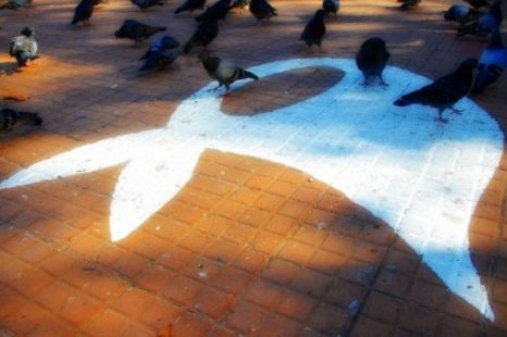 «Está ocurriendo una salida masiva de los genocidas»
