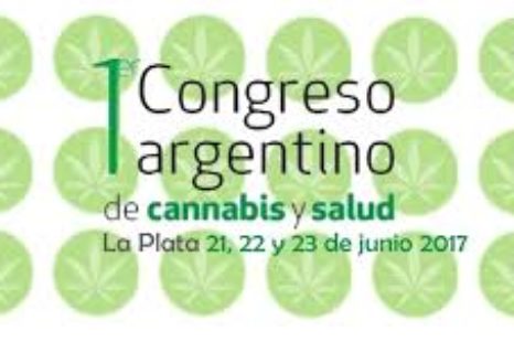 «La ley no prevé nada con respecto al autocultivo, eso genera un agujero negro»