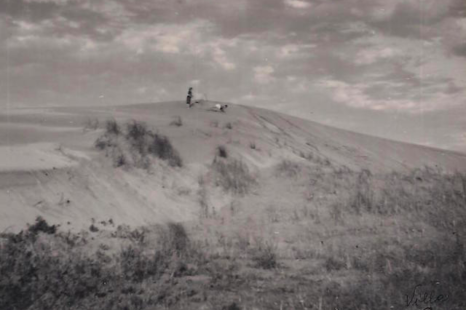 Villa Gesell, sus edificios y los problemas ambientas