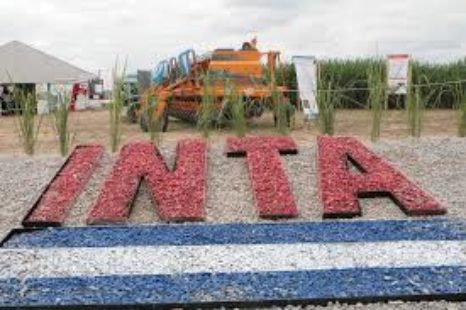 Trabajadores del INTA se encuentran en asamblea permanente