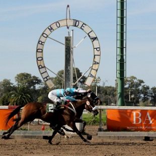 Peligra la industria hípica en La Plata
