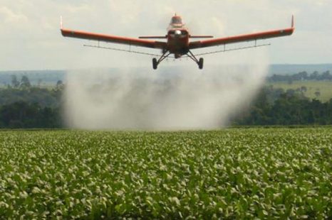 «Existe en los pueblos una cultura del uso de agroquímicos»