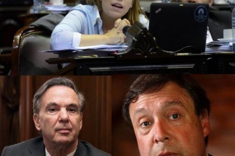 Soria cargó contra los reclamos «muy tibios» de Pichetto
