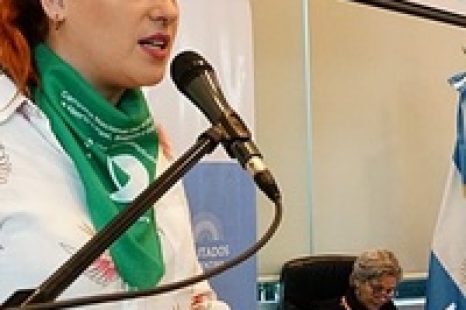 Candelaria Botto: «No encontramos políticas que erradiquen la precarización laboral»