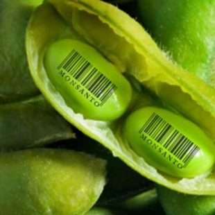 «Otorga el poder de policía al Estado para que obedezca a las Multinacionales»