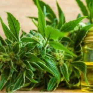 Claudia Pérez: «Es un avance pero es mínimo»