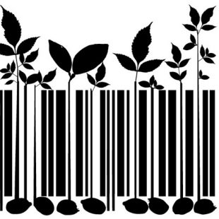 «El impacto es inmediato a los consumidores»