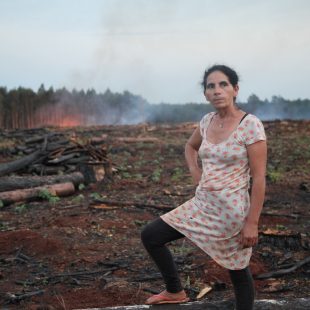 «Encontramos una buena noticia ambiental en el país»