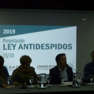 Docentes presentaron una «Ley anti despidos» para escuelas privadas