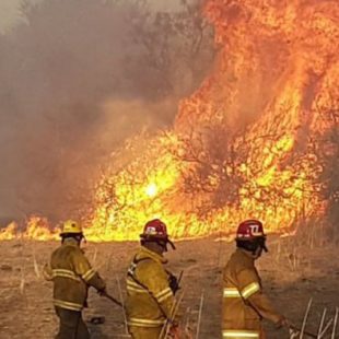 Más de 17500 hectáreas quemadas