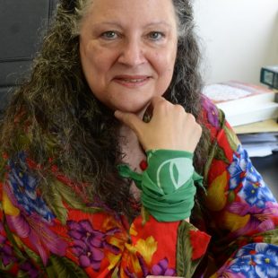Diana Maffia: “Hay más crueldad, y el hecho de recurrir a la justicia no asegura protección”