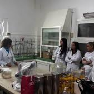 Laboratorios de la UNLP que estarán detectando el COVID 19