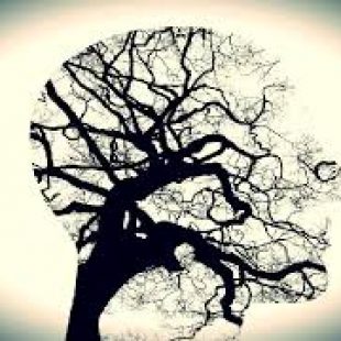 Tips para cuidar nuestra Salud Mental en cuarentena