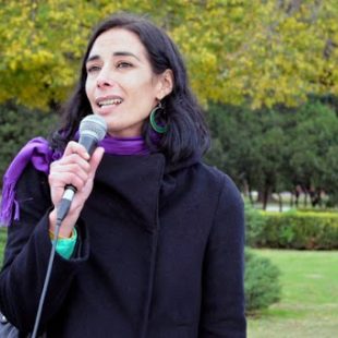 «Un cuarto de los argentinos han ingresado para ver si accedían al IFE»
