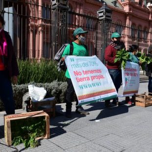 «No hay políticas concretas para el sector»