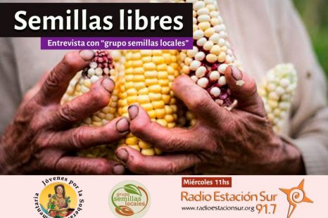 «Quien controla las semillas controla el precio, la calidad, qué, cómo y cuándo se produce»