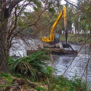 «Cuando se limpia se elimina toda la biodiversidad»