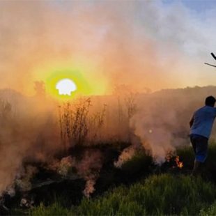 Rosario: “Tenemos la ciudad invadida de humo, la contaminación aérea es muy grave”