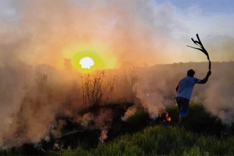 Rosario: “Tenemos la ciudad invadida de humo, la contaminación aérea es muy grave”