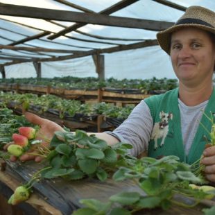 Yanina Settembrino: «Las mujeres rurales son las que movilizan al sector de la agricultura familiar»