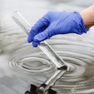 «No podemos asegurar que la contaminación venga del agua pero tampoco hay que descartarlo»