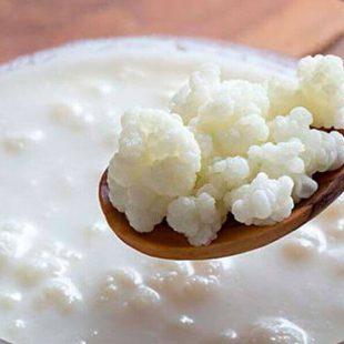 «Recomiendo incorporar probióticos a nuestra alimentación diaria»