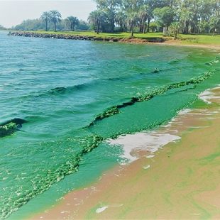 «Confiamos en que ABSA haya retomado el servicio en las condiciones adecuadas»