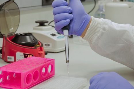 El Instituto Malbrán encontró una nueva cepa de Coronavirus