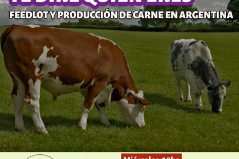 La producción de carne en Argentina