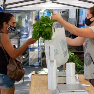 Este sábado llega Mercados bonaerenses a 13 y 32