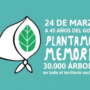 El 24 de marzo se plantarán 30 mil árboles de especies nativas en áreas protegidas