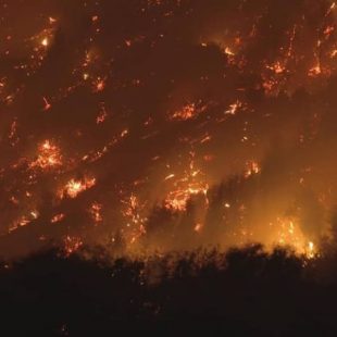 Incendios en la Patagonia: se realizará una denuncia penal