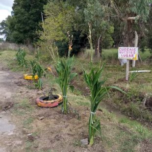Vecinas y vecinos del Barrio La Hermosura limpiaron un basural